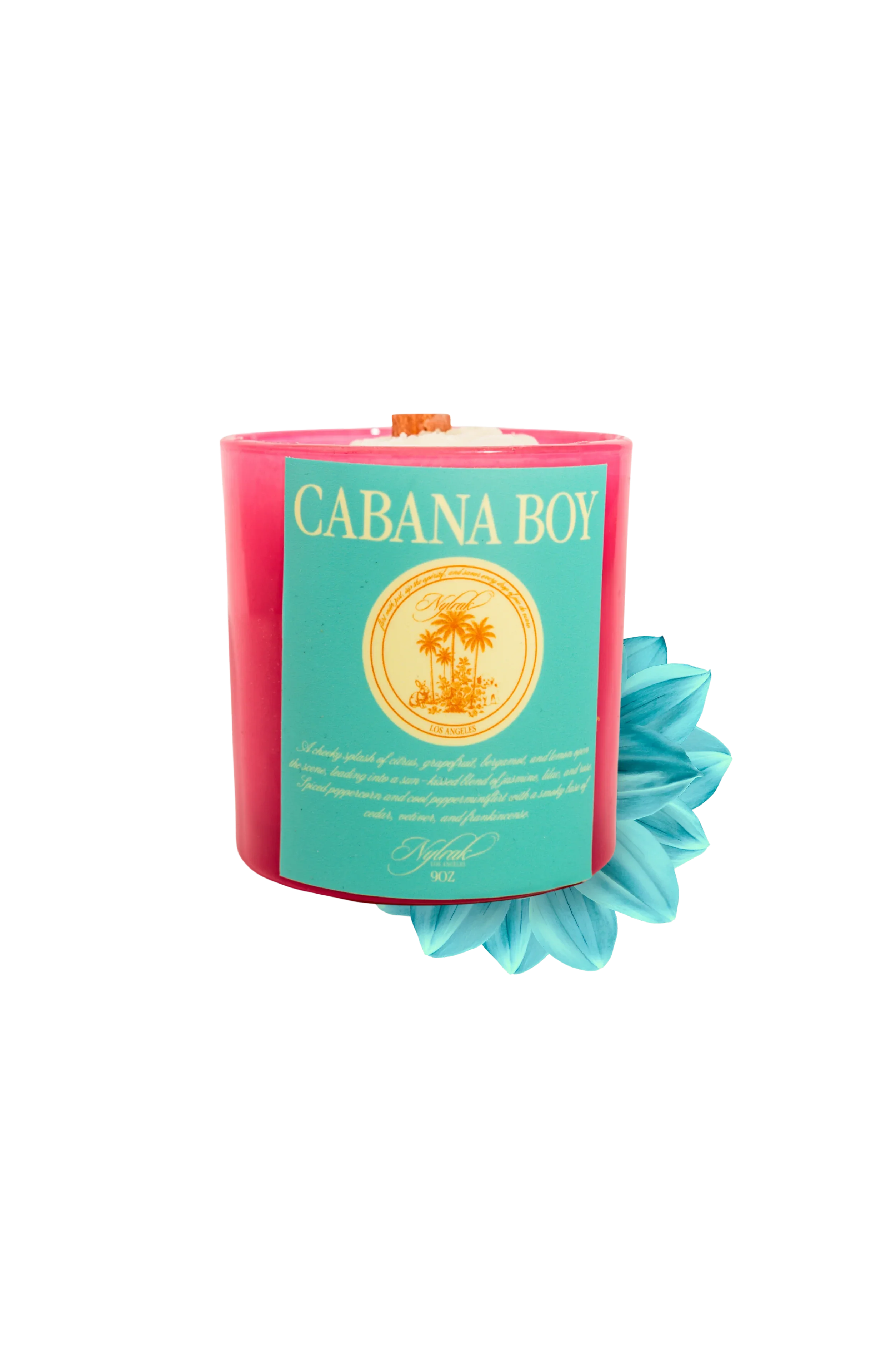Cabana Boy